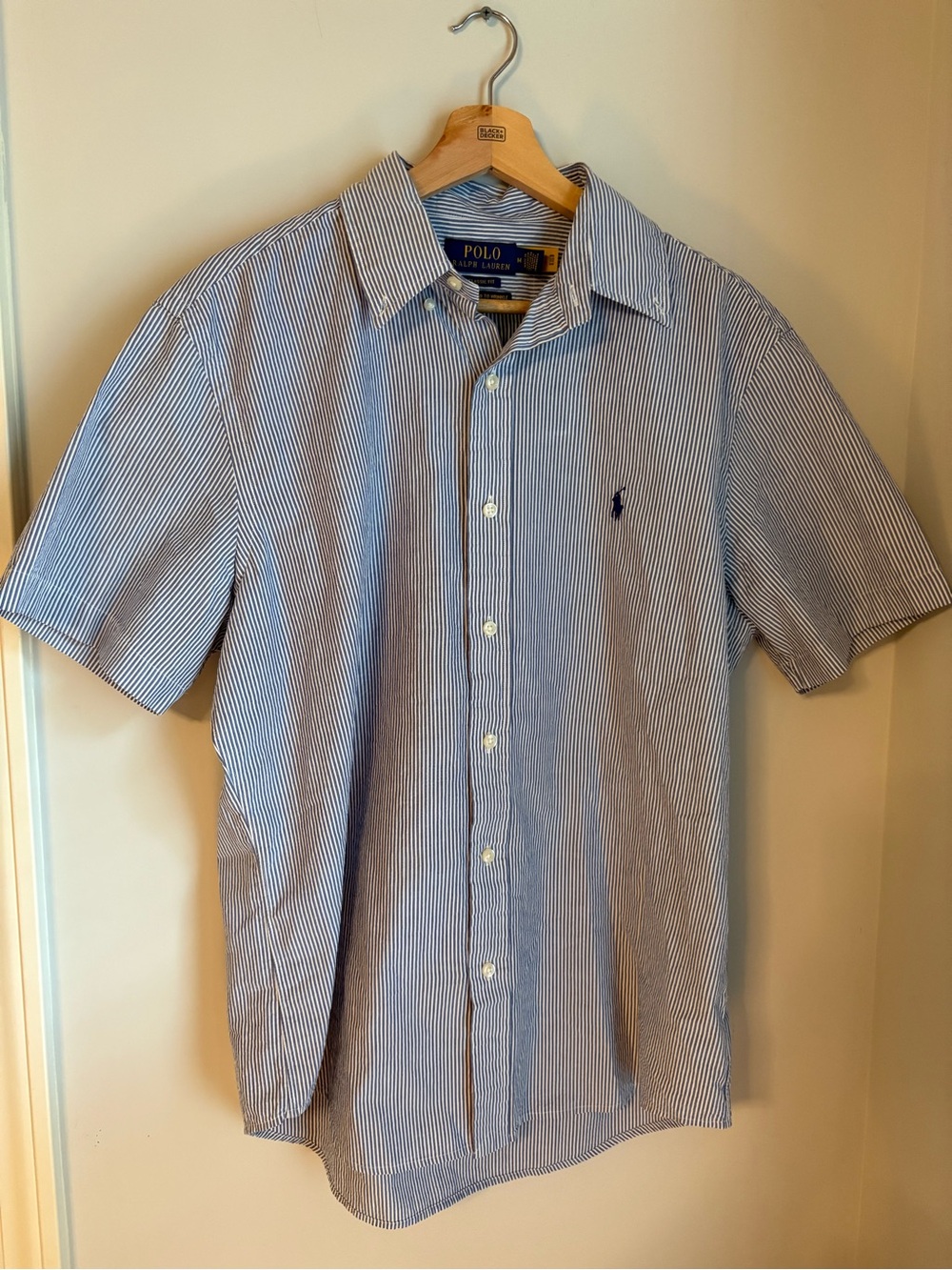 Polo by Ralph Lauren Light Blue & White Pinstripe Short-Sleeve Button-Down Shirt